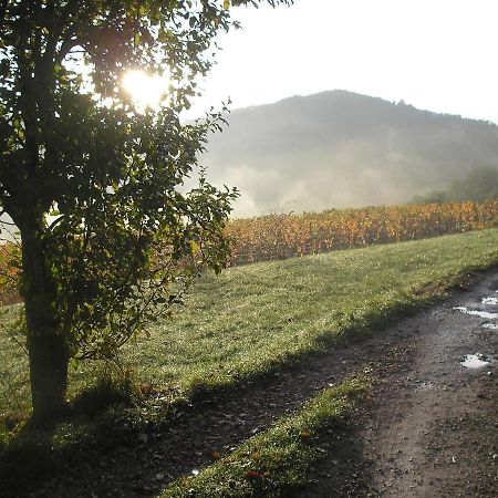 Grange Renovee En Pleine Nature Valady 外观 照片