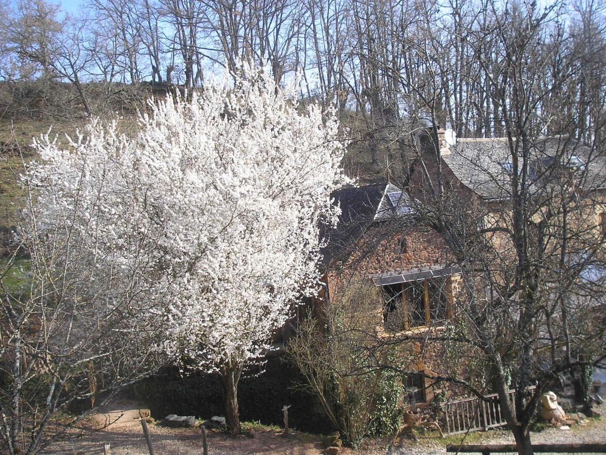 Grange Renovee En Pleine Nature Valady 外观 照片