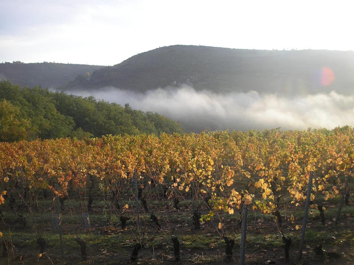 Grange Renovee En Pleine Nature Valady 外观 照片
