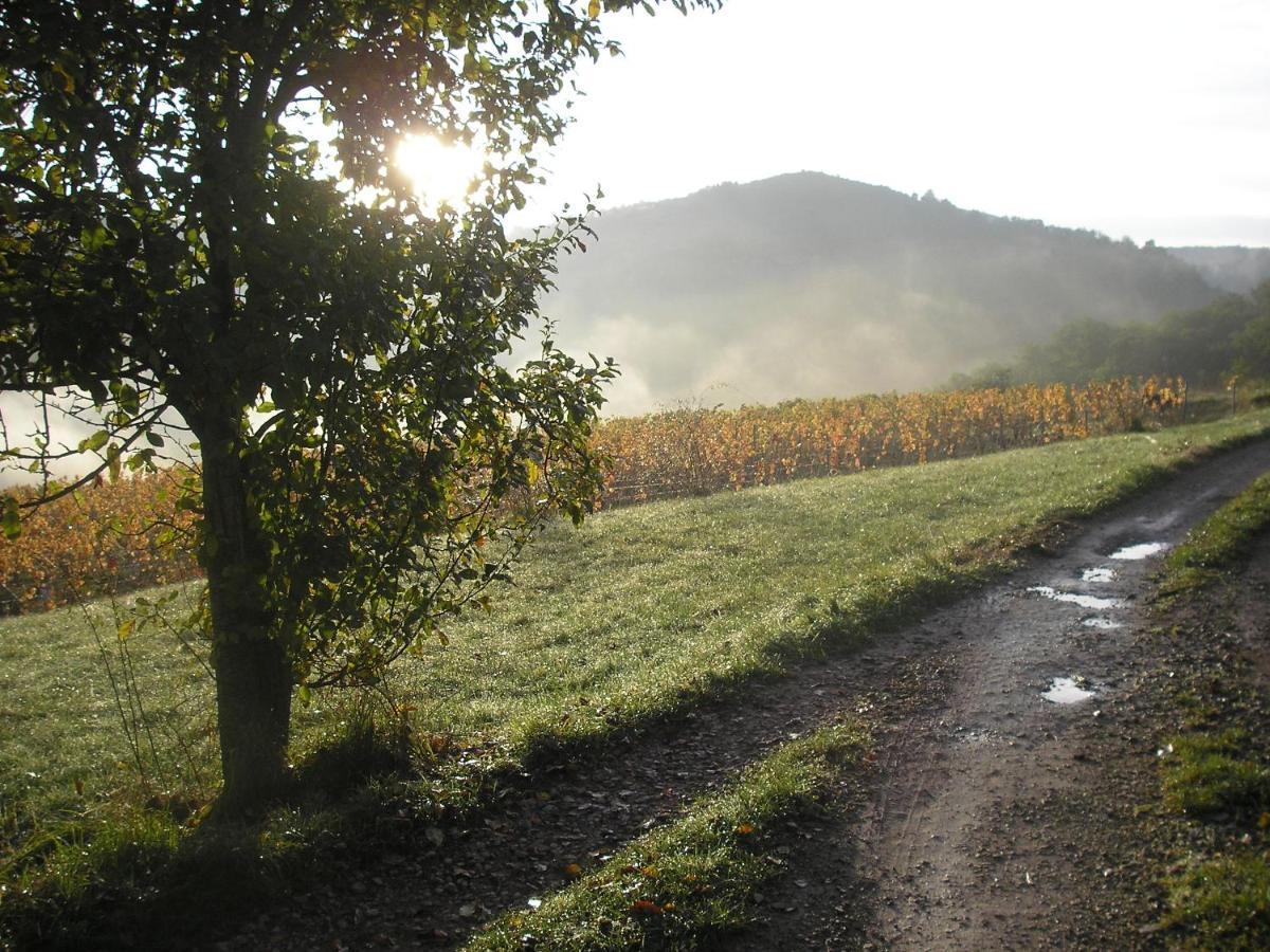 Grange Renovee En Pleine Nature Valady 外观 照片